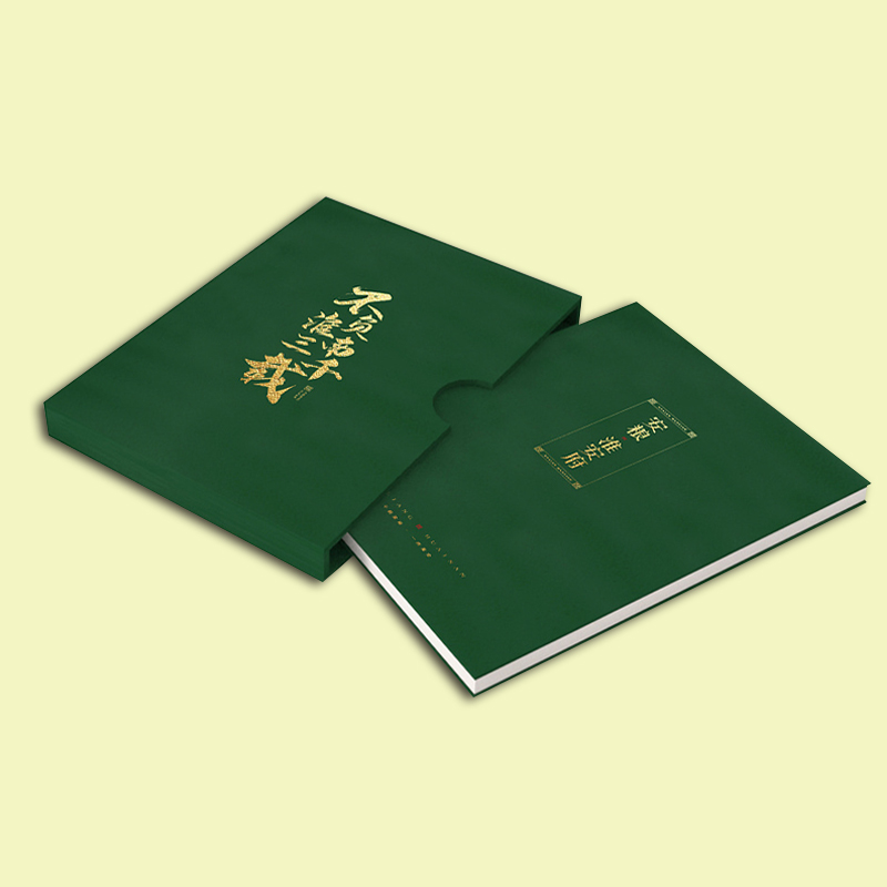 海南瓊海印刷廠 精裝樓書印刷 定制精裝書籍畫冊印刷(圖1)